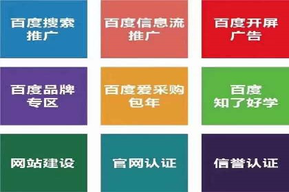 抖音信息流代理的运营策略与成功案例解析